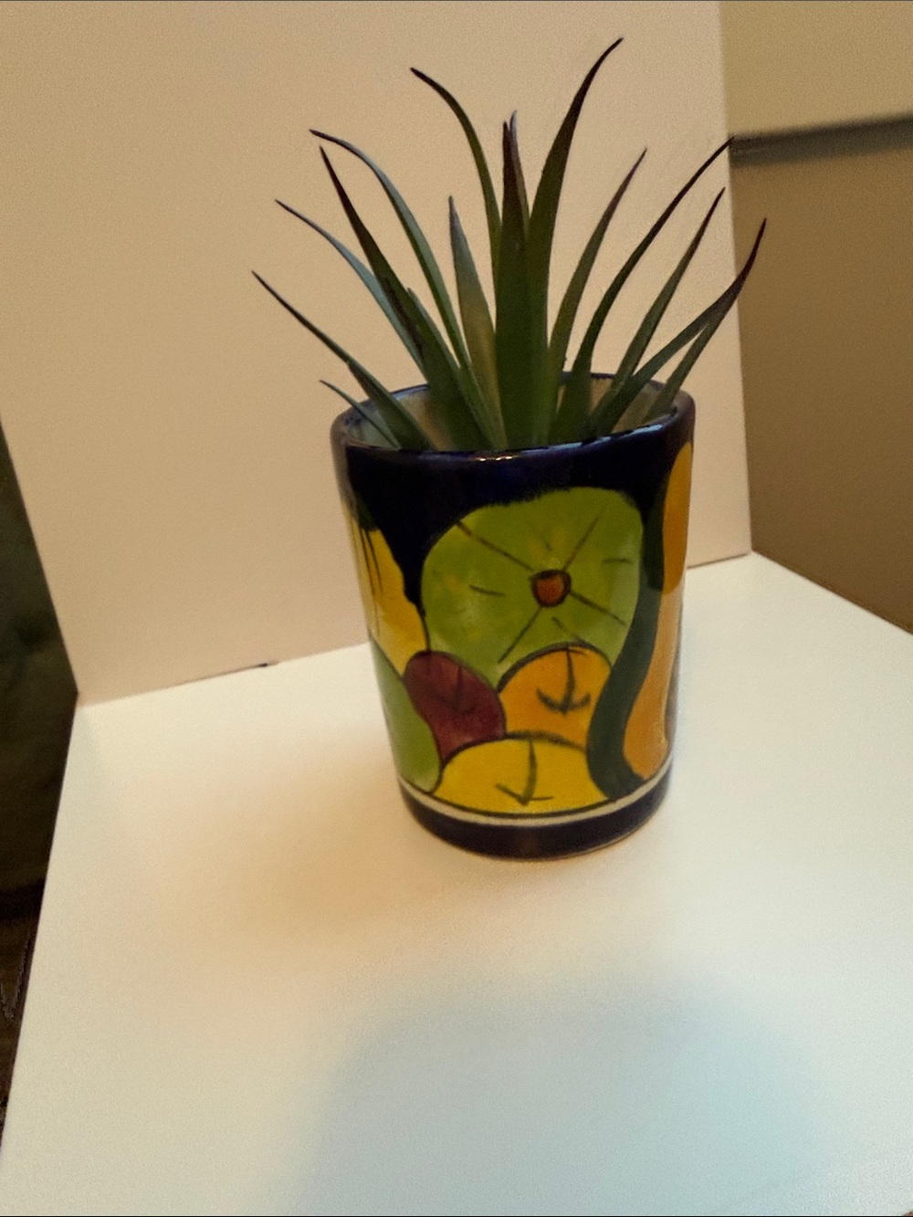 Mexico Hand-Painted Ceramic Fruit Tumbler  Planter Holder with Blue Rim - Picture 4 of 14